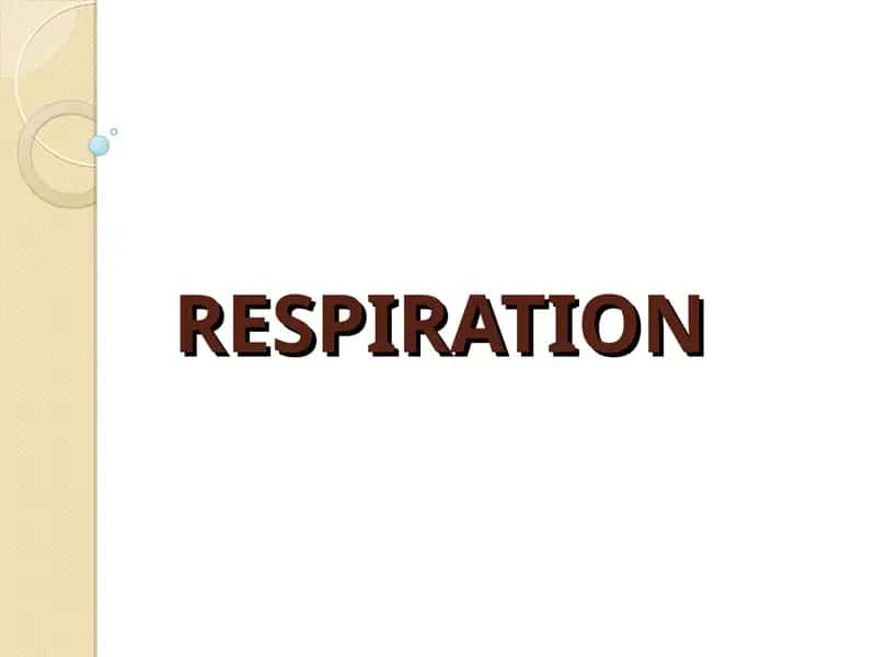 RESPIRATION 1