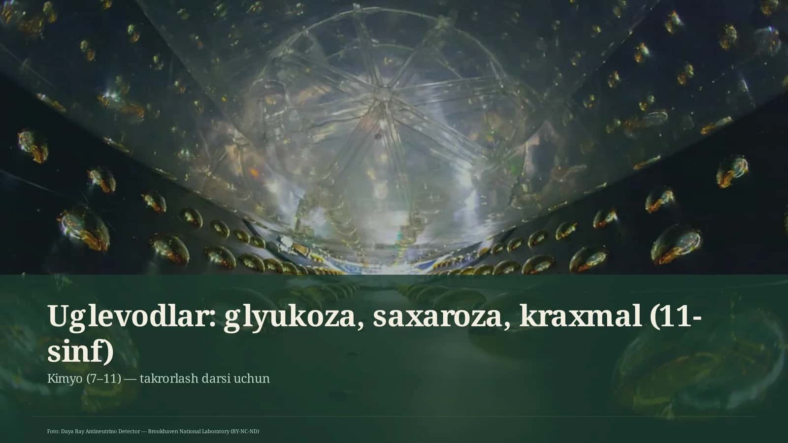 Uglevodlar: glyukoza, saxaroza, kraxmal (11-sinf) 1