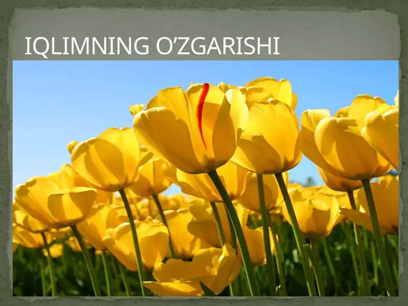 IQLIMNING O'ZGARISHI 1