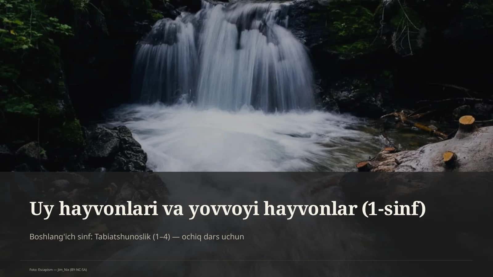 Uy hayvonlari va yovvoyi hayvonlar (1-sinf) 1