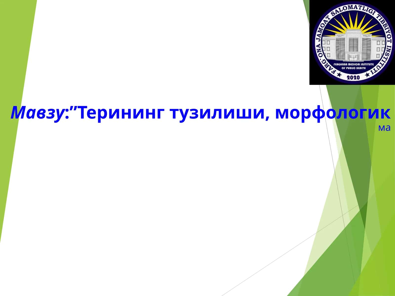 ТЕРИНИНГ ТУЗИЛИШИ, МОРФОЛОГИК ЭЛЕМЕНТЛАРИ 1
