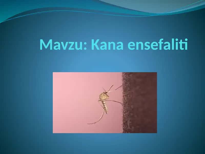Kanaensefaliti 1