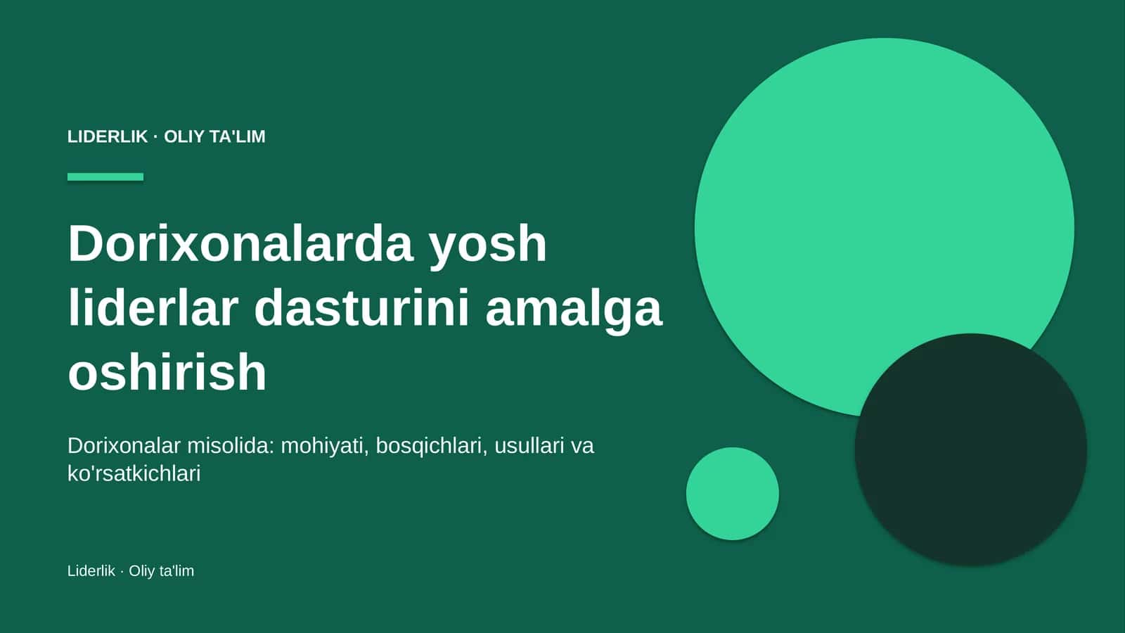 Dorixonalarda yosh liderlar dasturini amalga oshirish 1
