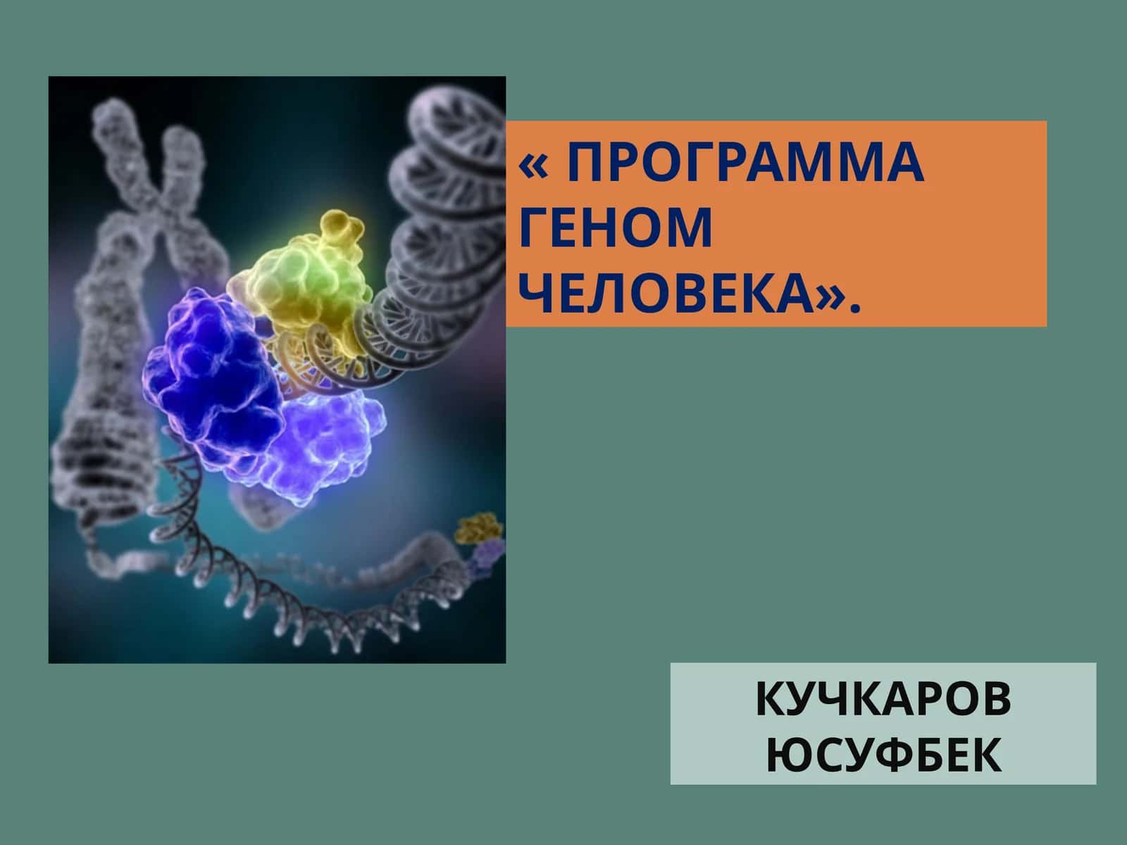 Программа Геном человека 1
