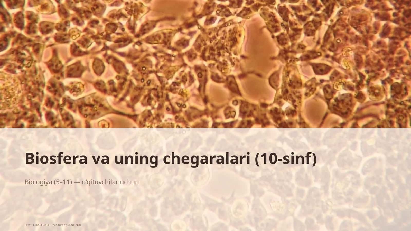 Biosfera va uning chegaralari (10-sinf) 1