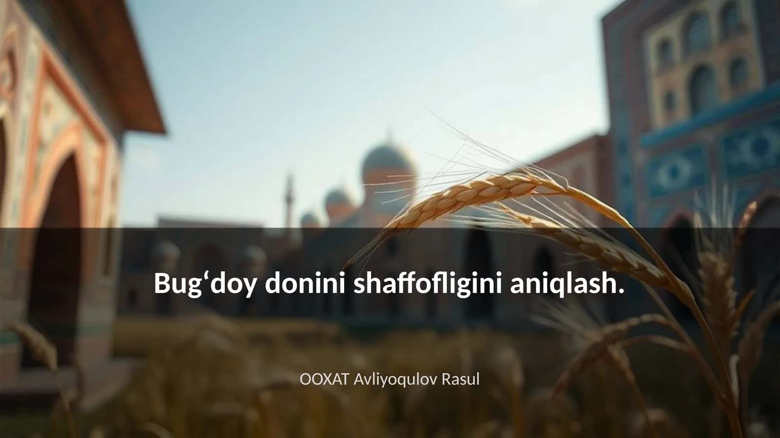 Bugʻdoy doni shaffofligining nazariy asoslari 1