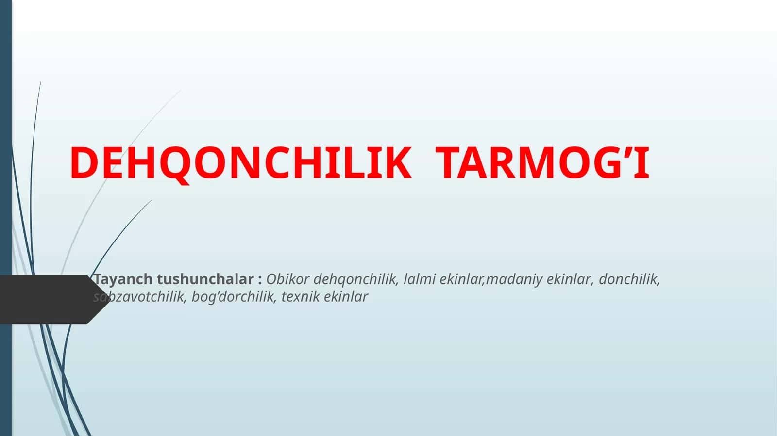DEHQONCHILIK TARMOG’I 1
