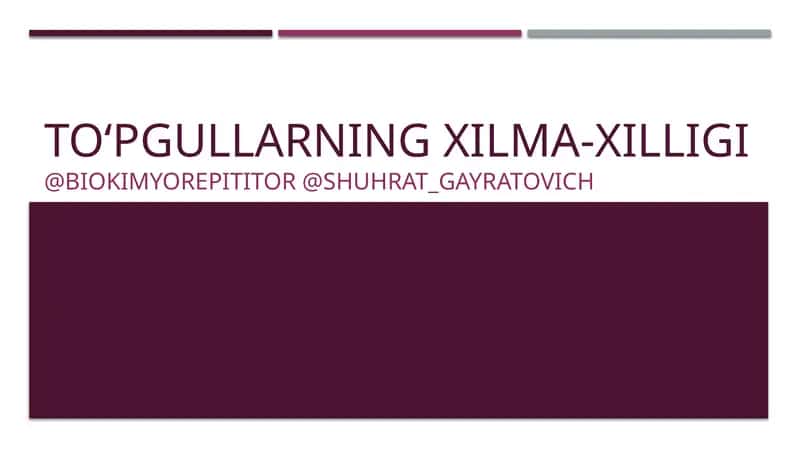To‘pgullarning Xilma-xilligi 1
