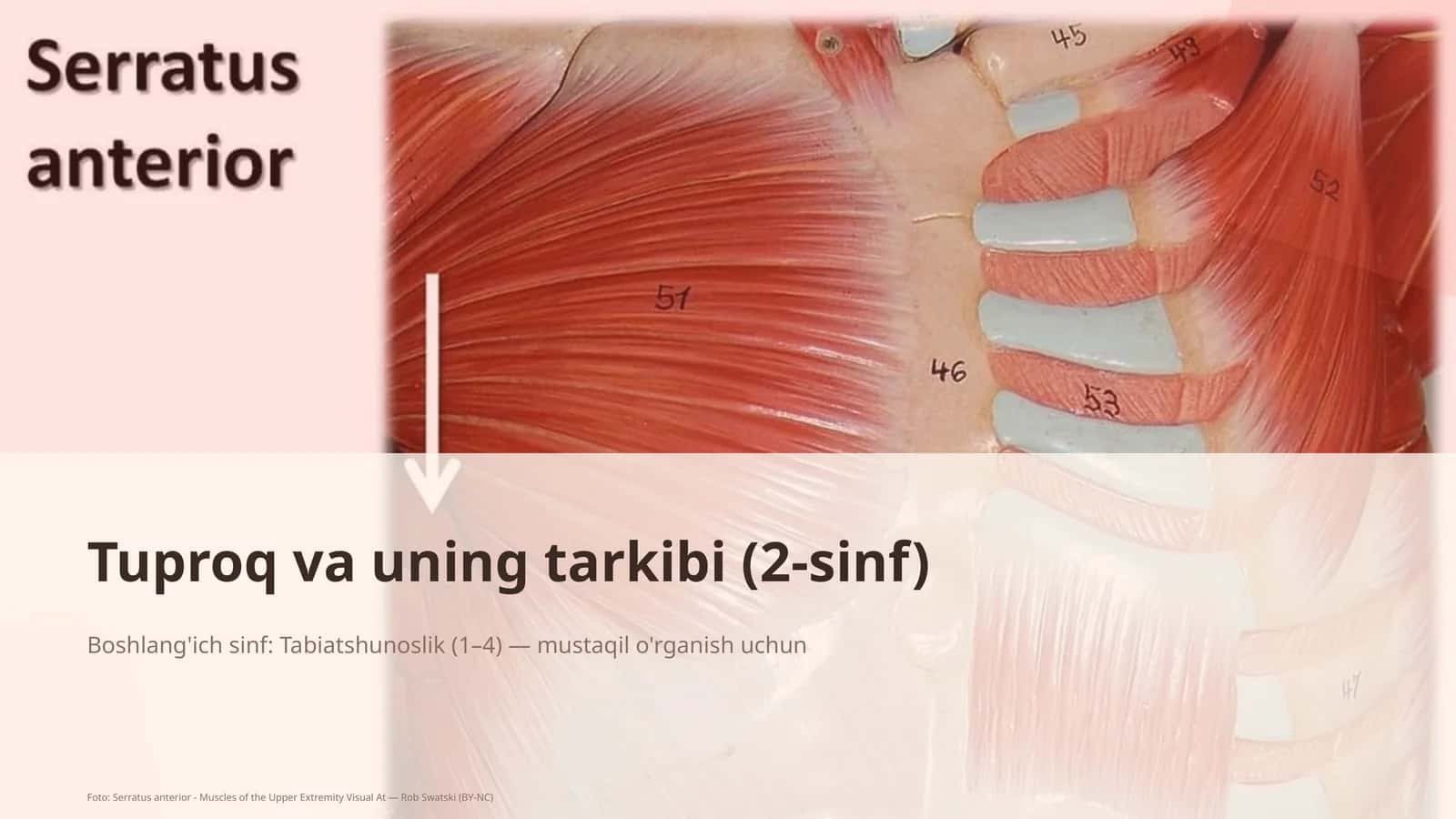 Tuproq va uning tarkibi (2-sinf) 1