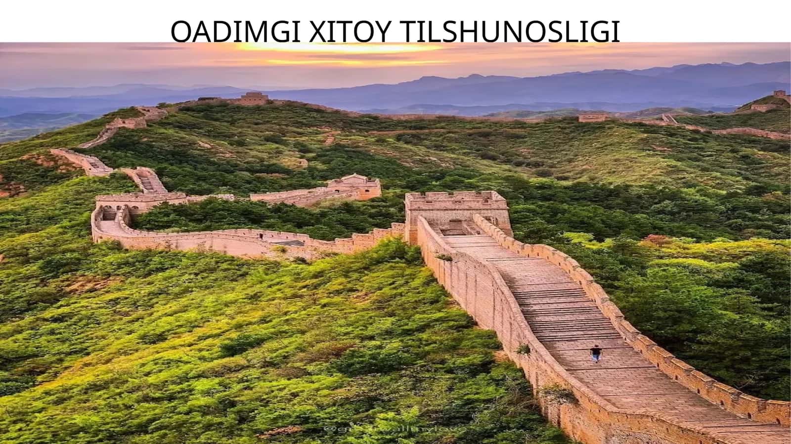 Qadimgi xitoy tilshunosligi 1