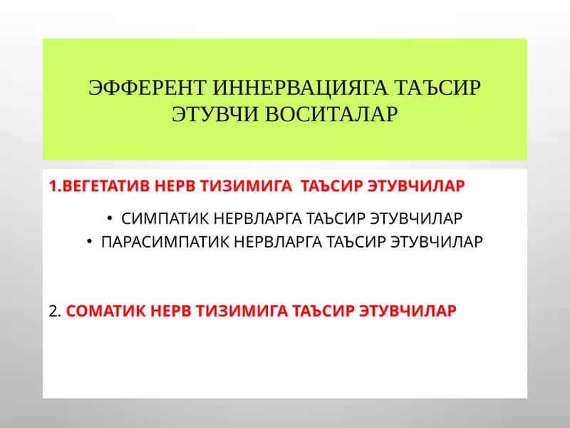Эфферент иннервация 1
