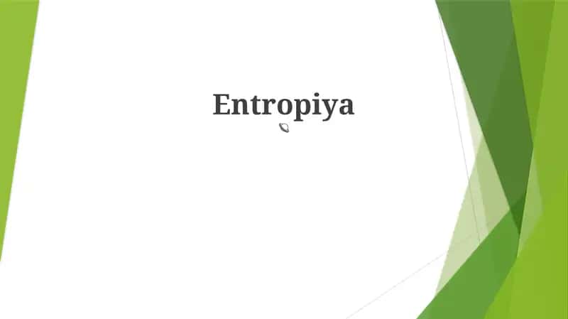 Entropiya 1