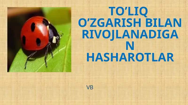 Hashoratlarning rivojlanishi 1