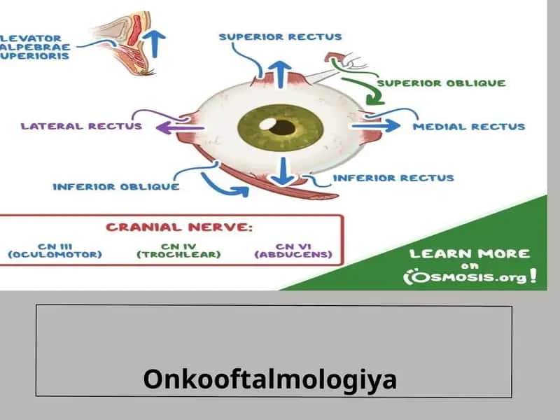 Onkooftalmologiya 1