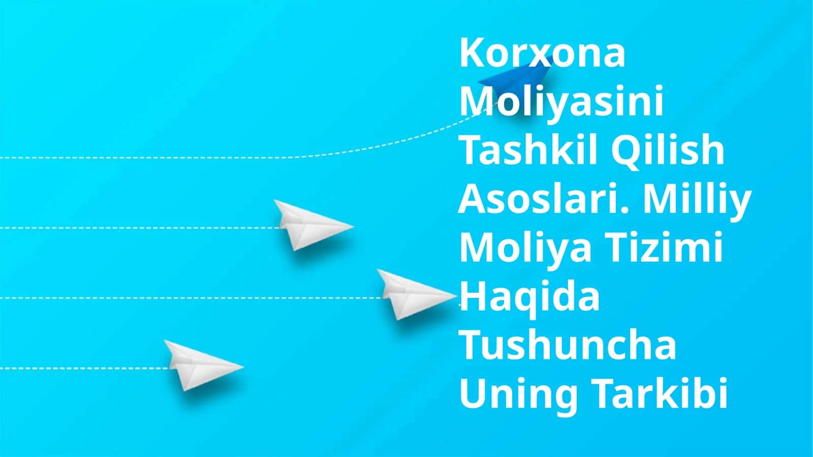 Milliy Moliya Tizimi 1