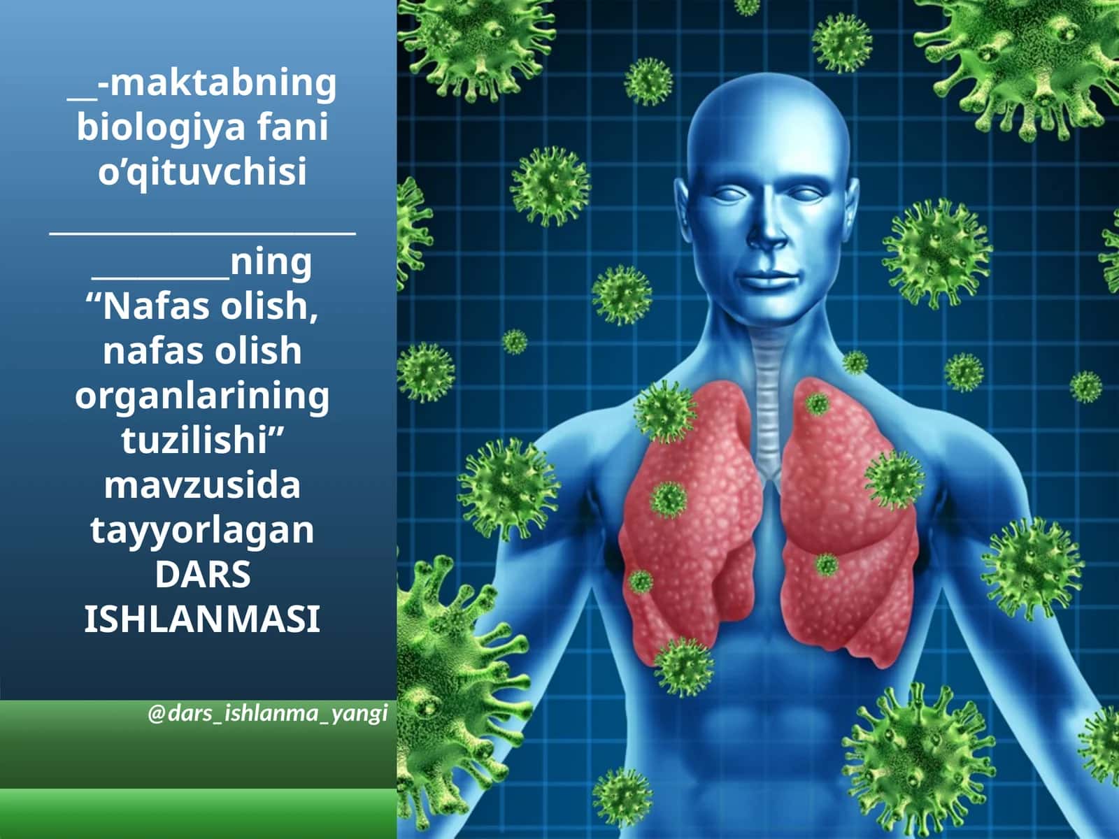 Nafasolish, nafasolish organlarining tuzilishi 1
