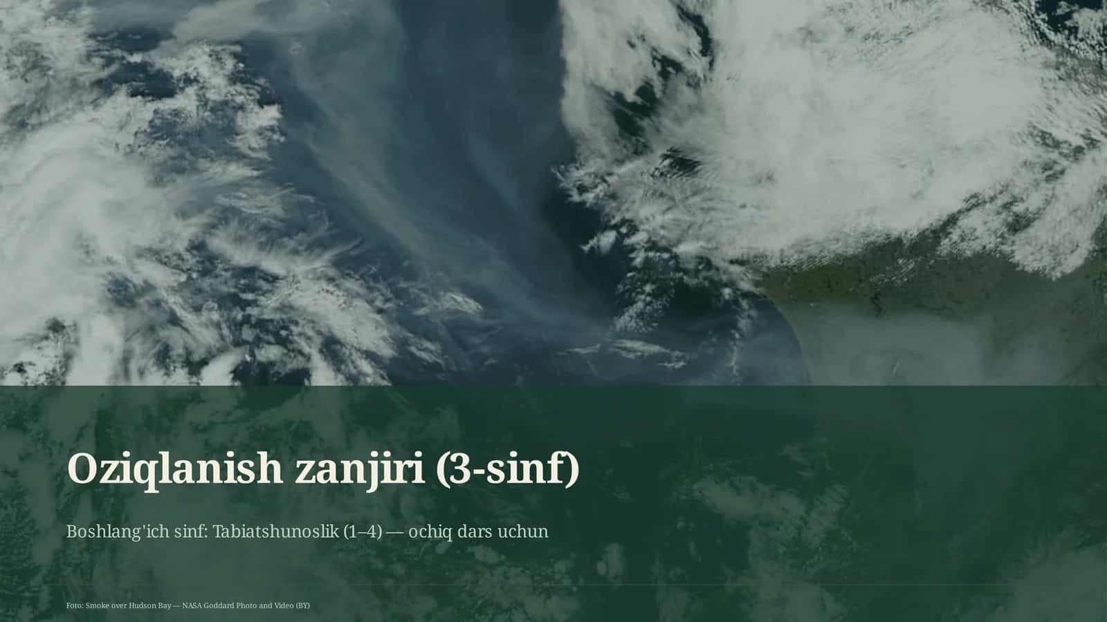 Oziqlanish zanjiri (3-sinf) 1