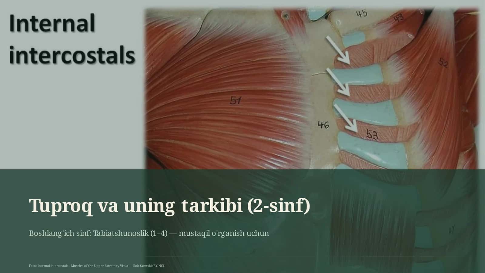 Tuproq va uning tarkibi (2-sinf) 1