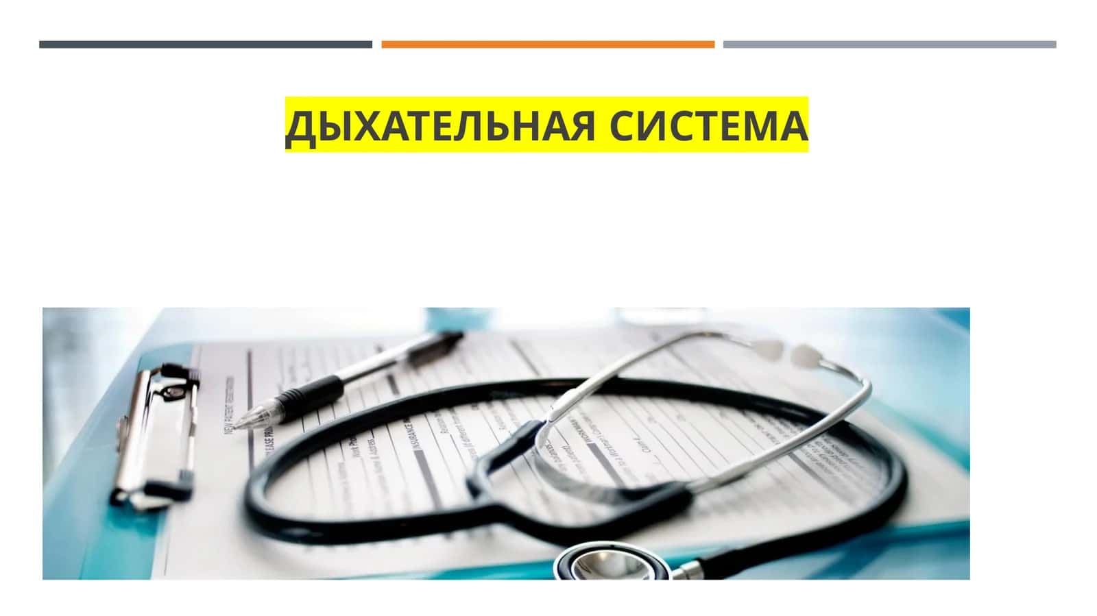 Дыхательная система 1