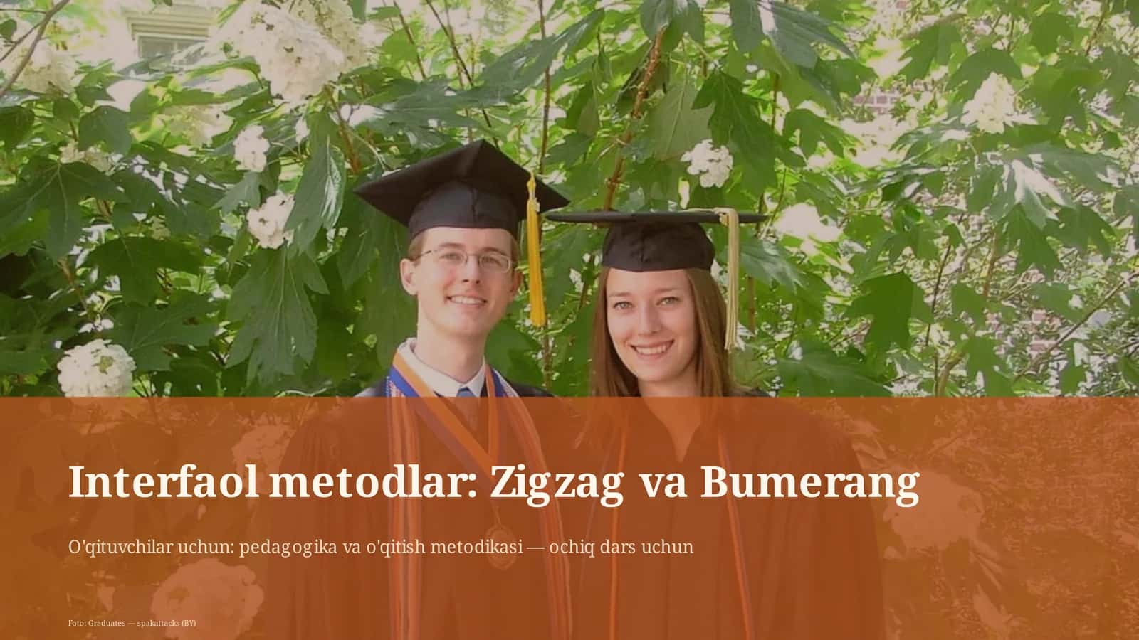 Interfaol metodlar: Zigzag va Bumerang 1