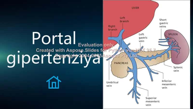 Portal gipertenziya 1