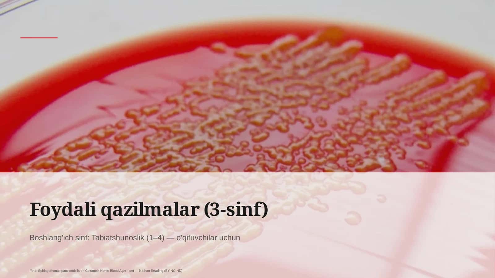 Foydali qazilmalar (3-sinf) 1