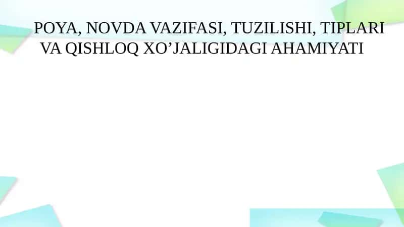 Novda 1