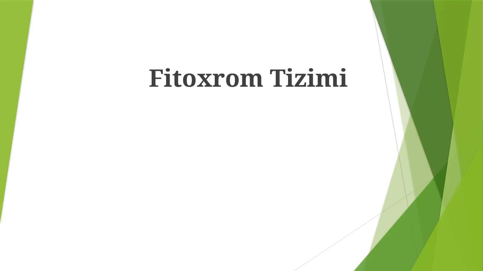 Fitoxrom Tizimi 1