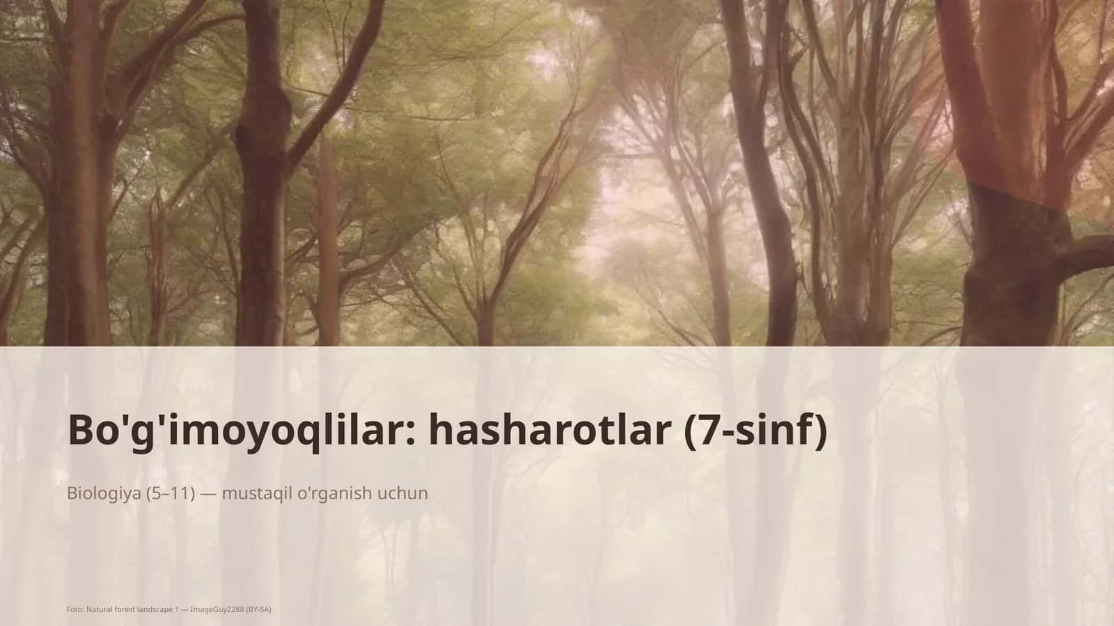 Bo'g'imoyoqlilar: hasharotlar (7-sinf) 1
