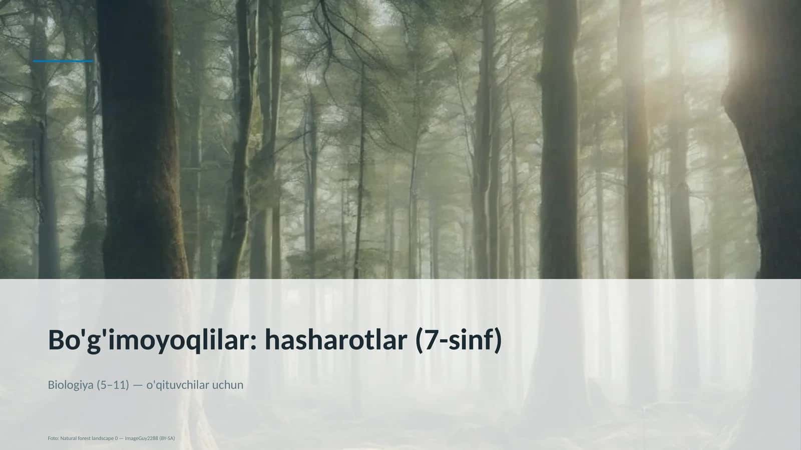 Bo'g'imoyoqlilar: hasharotlar (7-sinf) 1