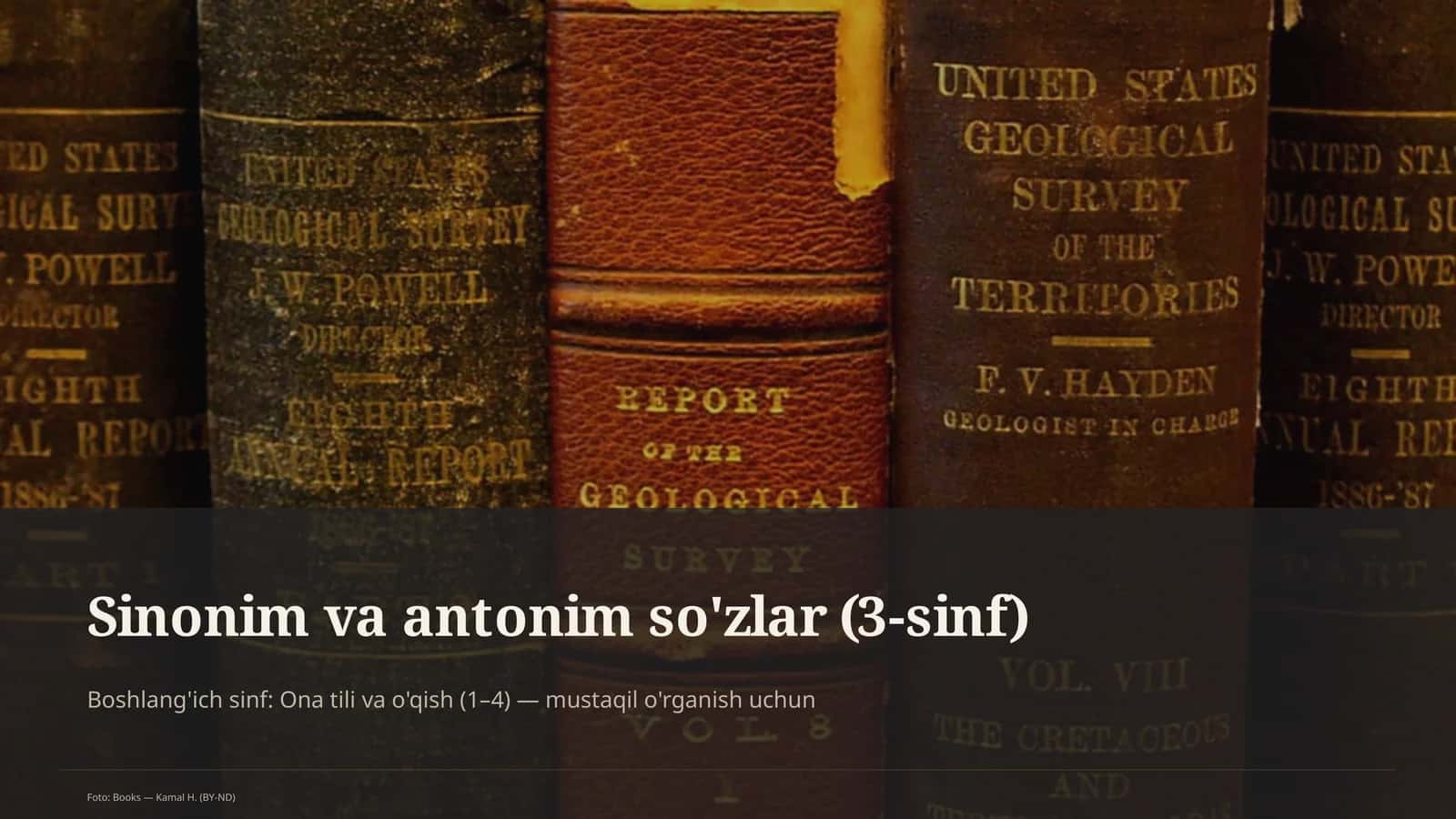 Sinonim va antonim so'zlar (3-sinf) 1