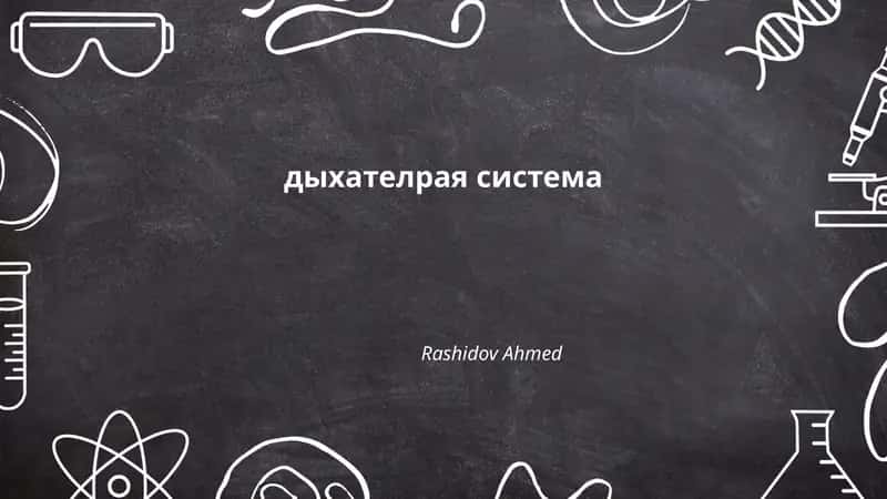 дыхателрая система 1