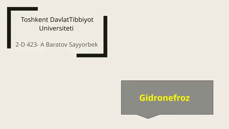 Gidronefroz 1