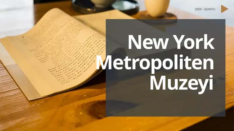 New York Metropoliten Muzeyi 1