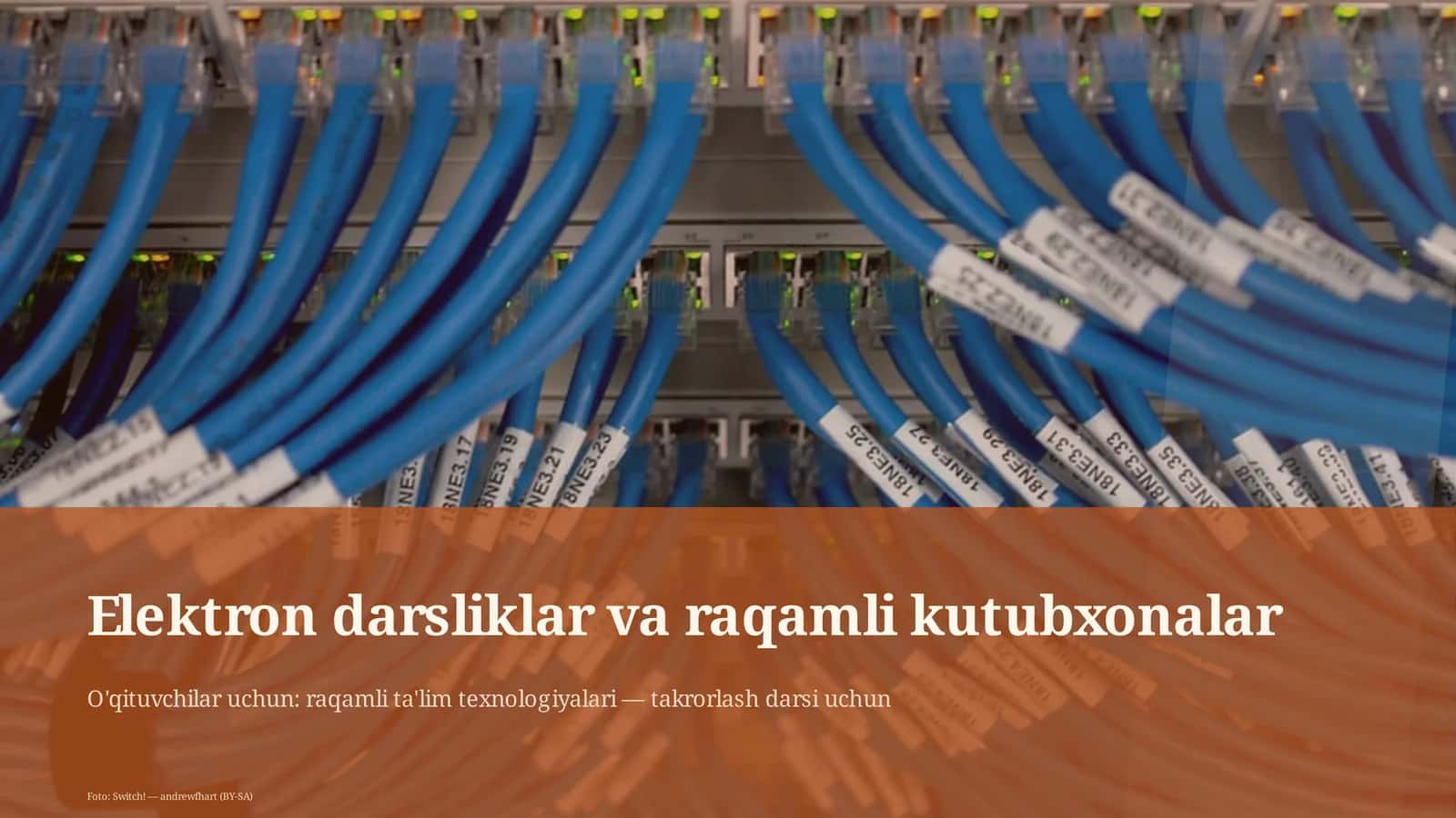 Elektron darsliklar va raqamli kutubxonalar 1