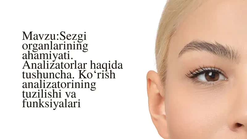 Sezgi organlarining ahamiyati. 1