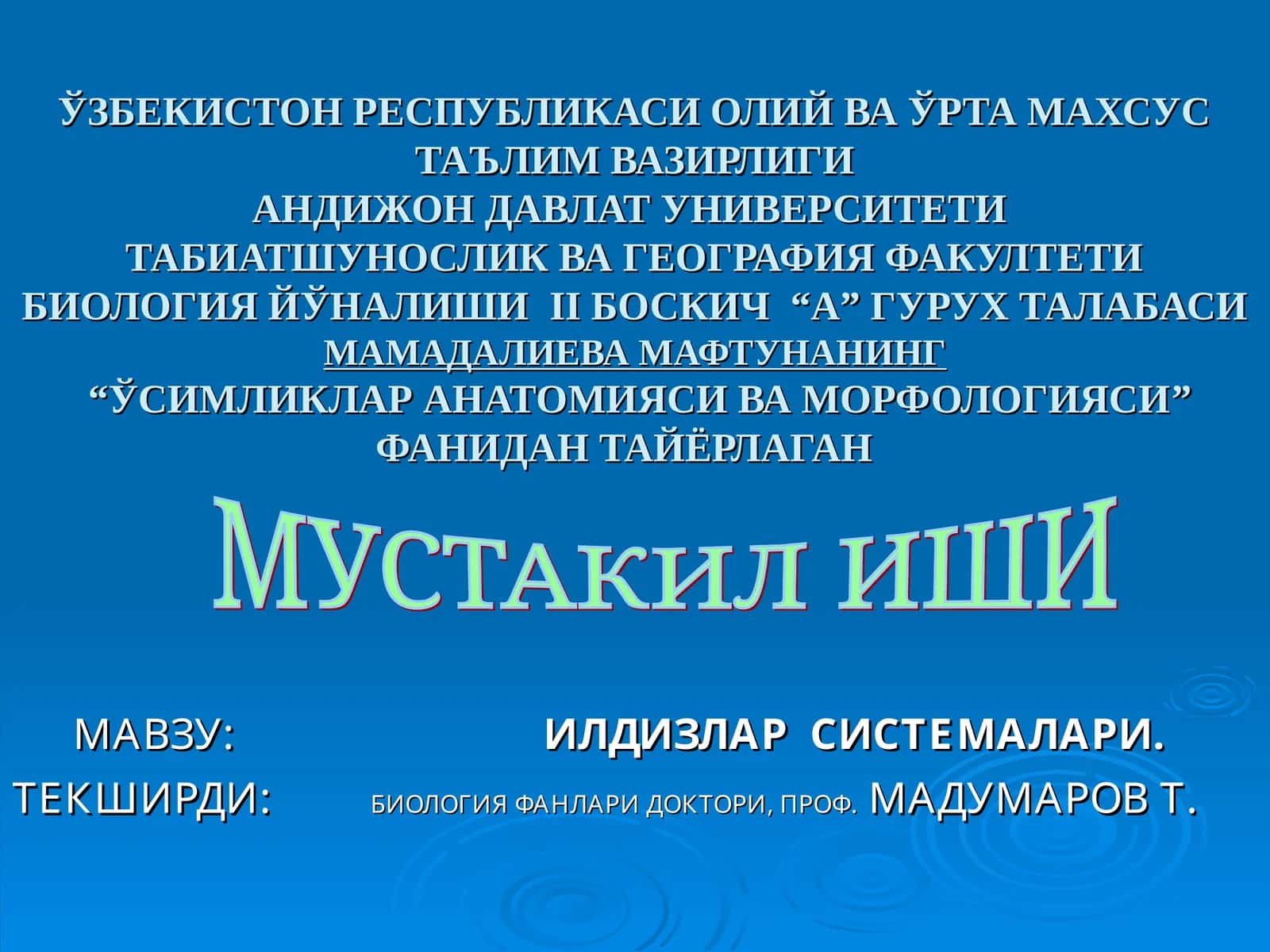 Илдизлар системалари 1