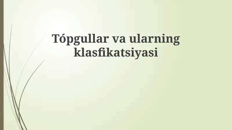 Loyli tuproqlar 1