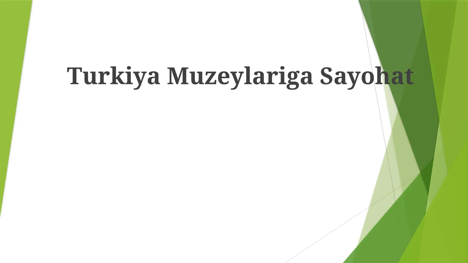 TurkiyaMuzeylarigaSayohat 1