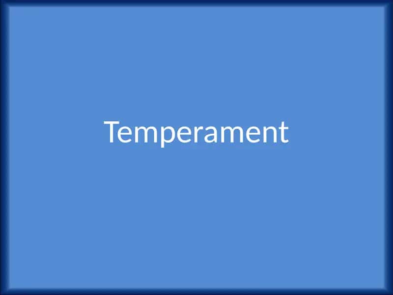 Temperament 1