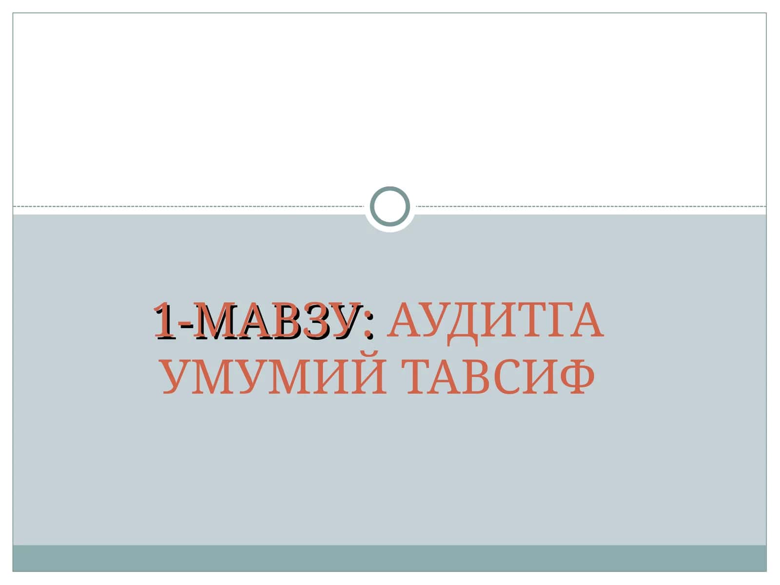 Аудитга умумий тавсиф 1