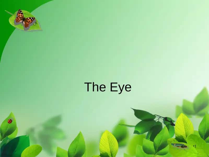 The Eye 1