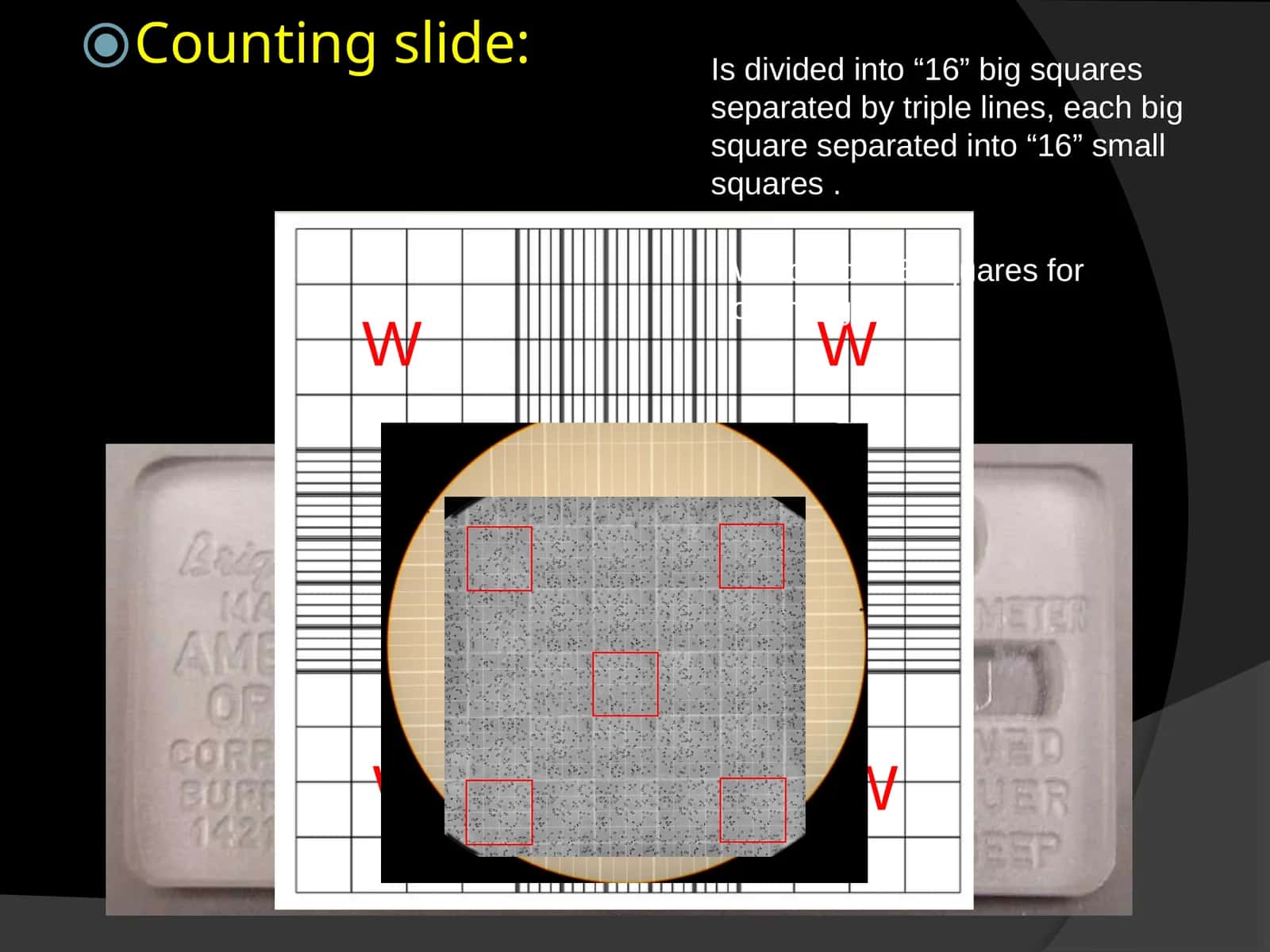 Counting slide 1