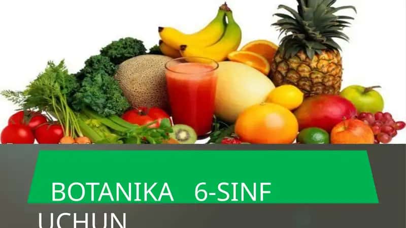 GULXAYRIDOSHLAR 1