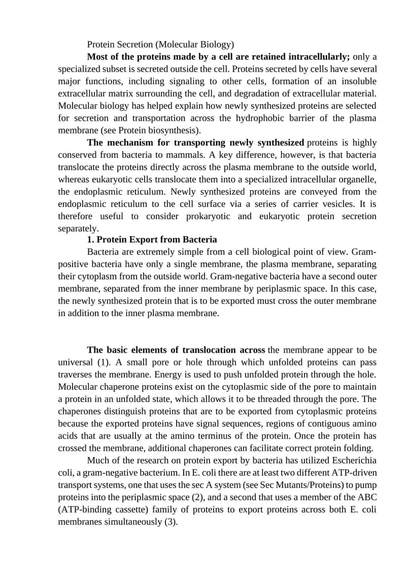 Protein Secretion (Molecular Biology) 1