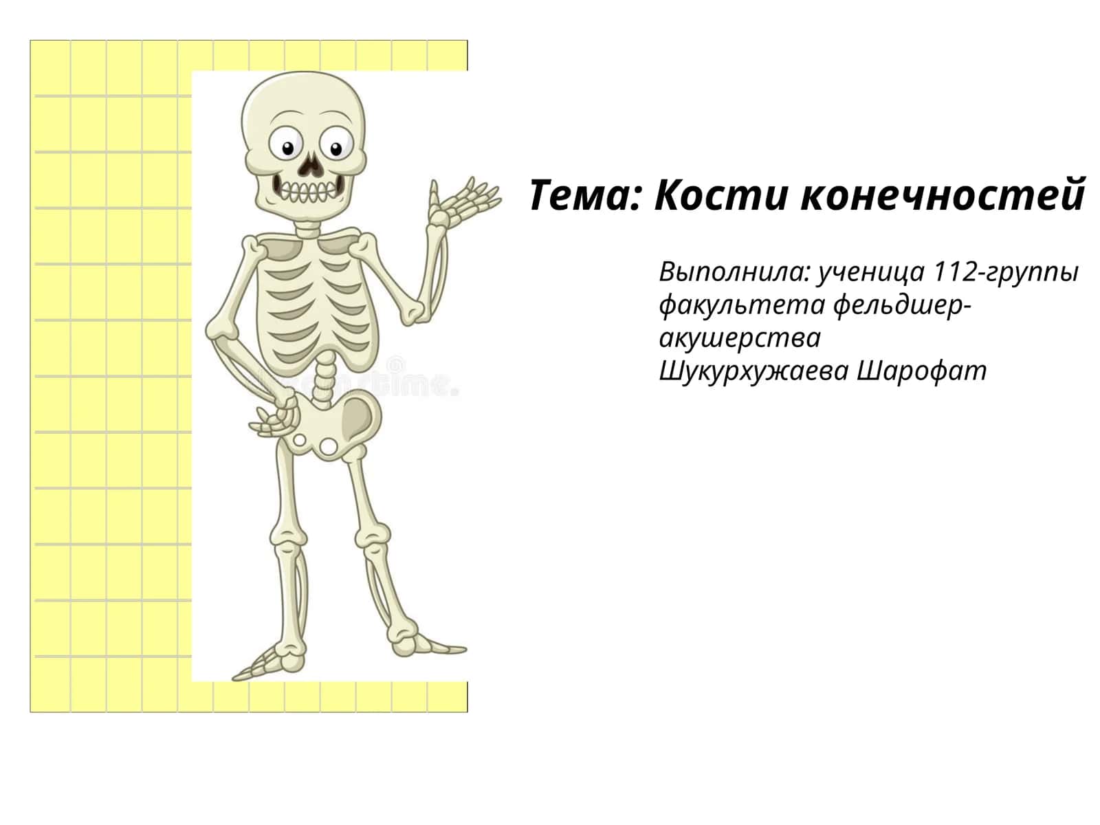 Кости конечностей 1