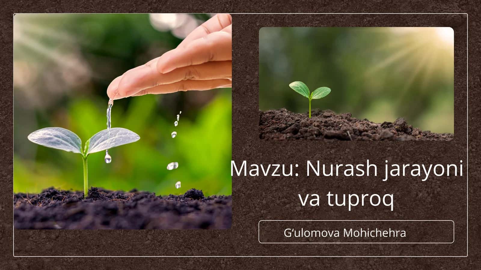 Nurash jarayoni va tuproq 1