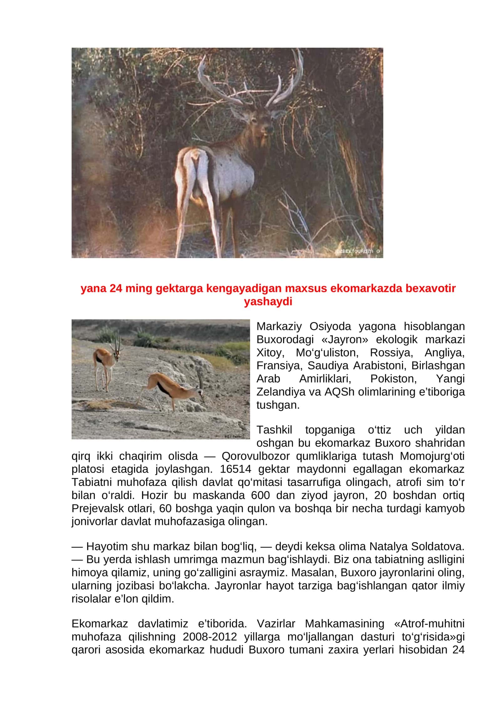 Jayron Ekologik Markazi 1