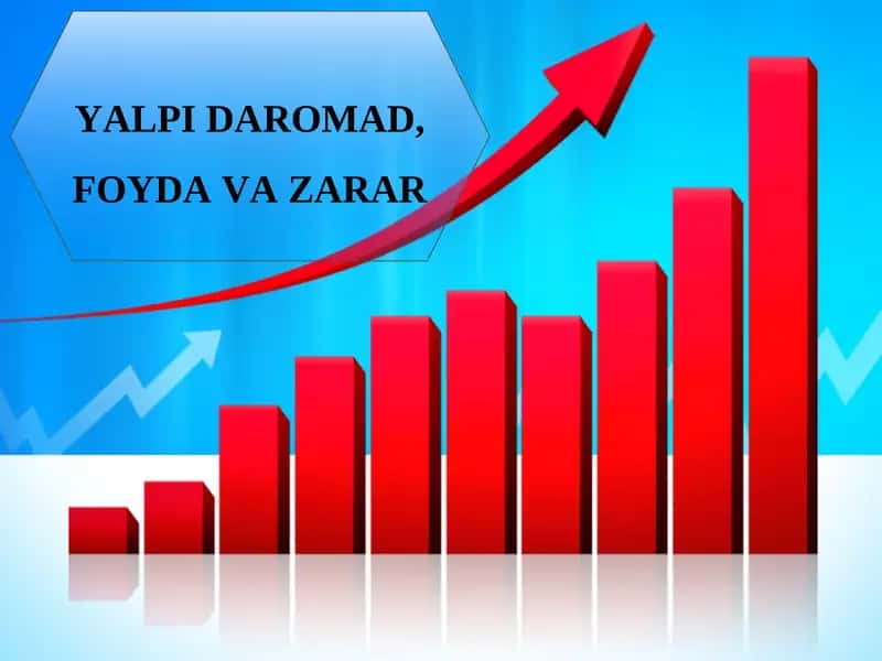 YALPI DAROMAD, FOYDA VA ZARAR 1