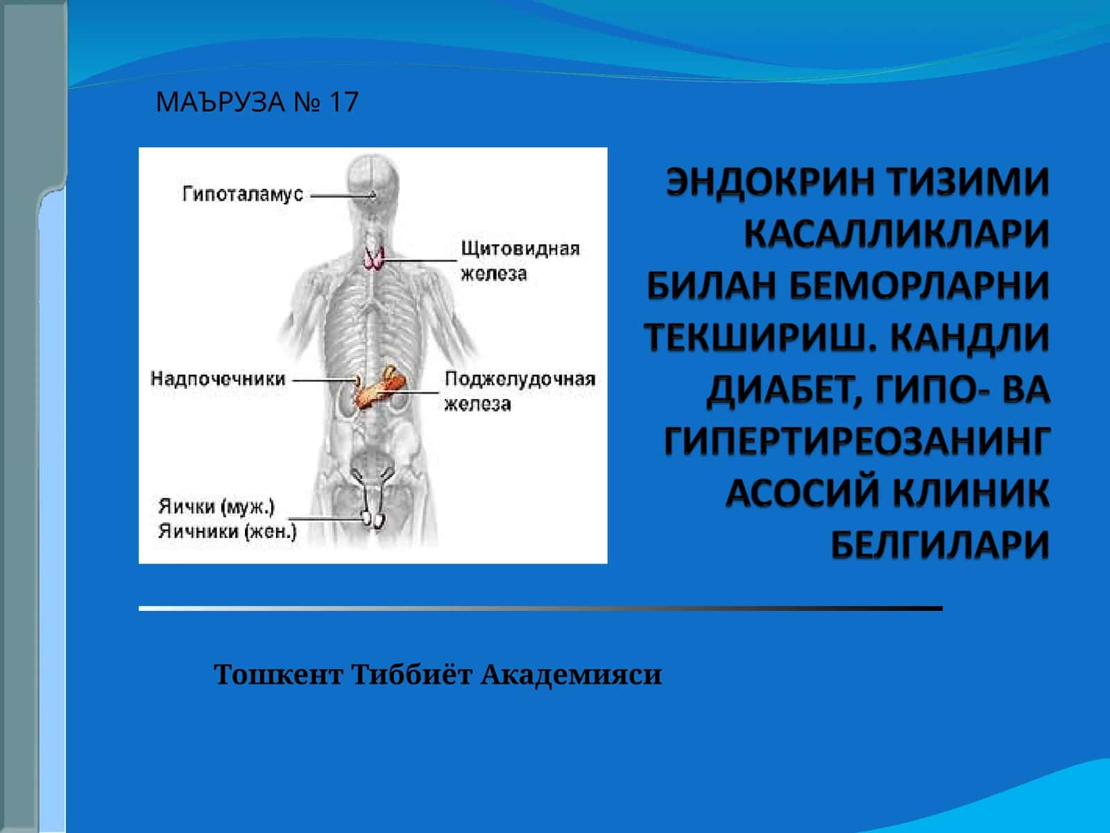 МАЪРУЗА № 17 1